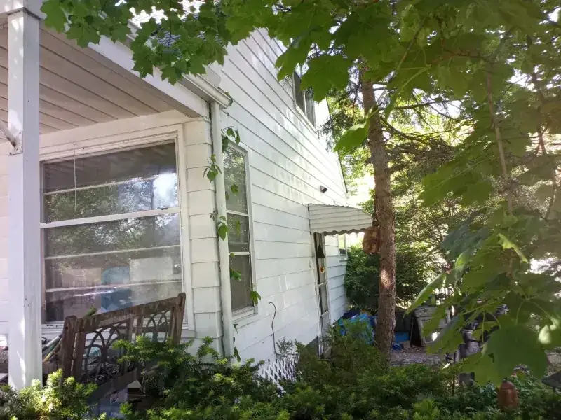 Two-storey house with green algae streaking the siding, then the same elevation cleaned