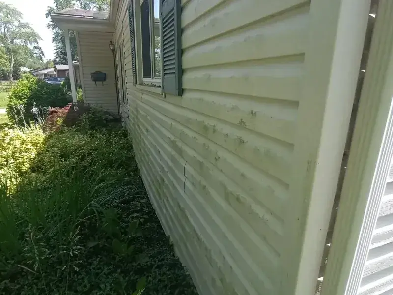 Cream siding spotted with mould, then the same siding cleaned