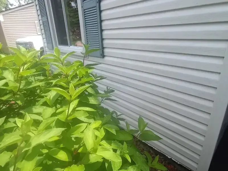 Cream siding spotted with mould, then the same siding cleaned