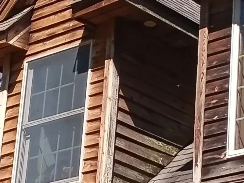 Log-cabin style wood siding shown before and after power washing within one frame